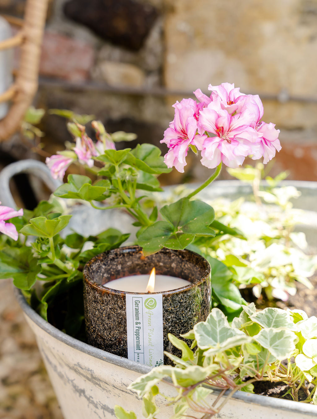 Green Planet Living Geranium & Peppermint natural soy candle burning in a garden setting, surrounded by blooming pink flowers and sustainable greenery.
