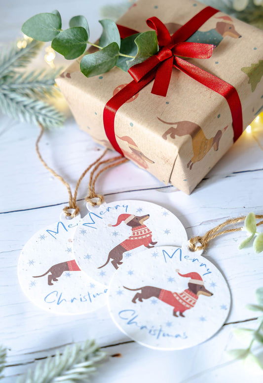 Dachshund Through The Snow – plantable Christmas gift tag