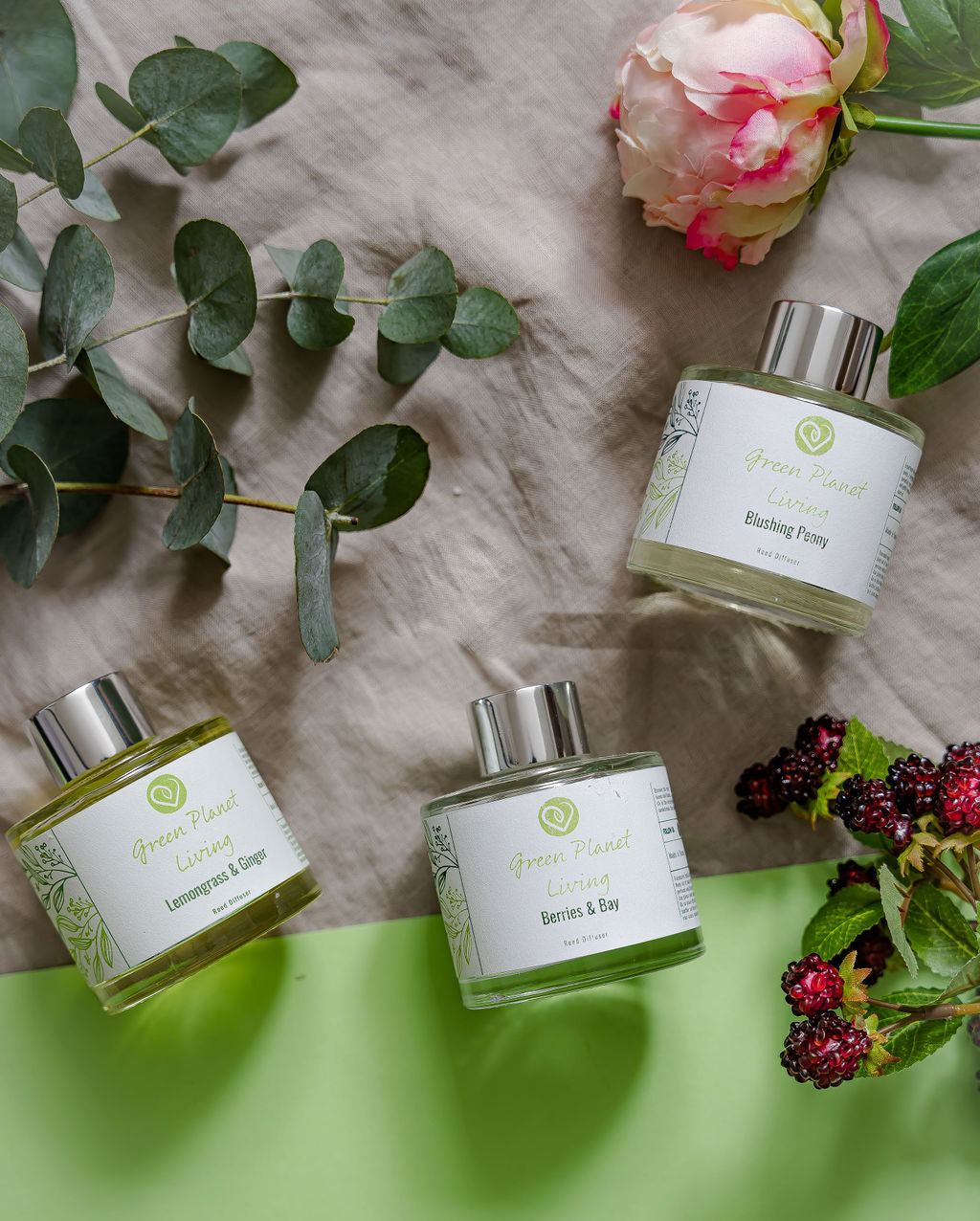 3 different fragrances of reed diffusers on a grey and green background with a spring of eucalyptus, blackberry and a peony flower