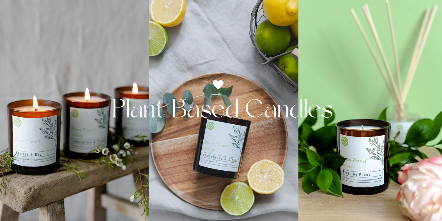 3 pictures of luxury plant based candles in 3 varieties with reed diffusers, peony, lemons and limes in background